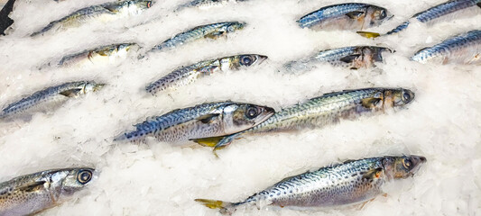 Fresh fish on ice in the market.