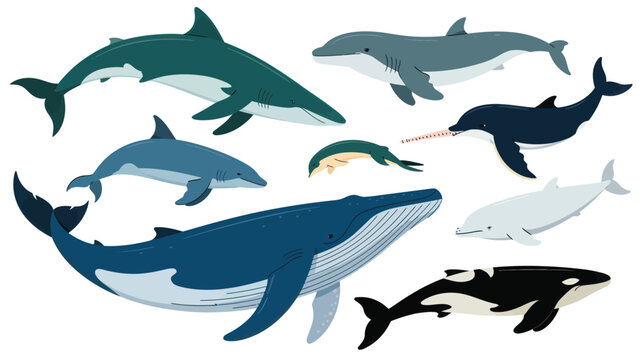 A diverse group of marine animals swimming together in the ocean, depicted in a digital illustration from a top-down viewpoint.