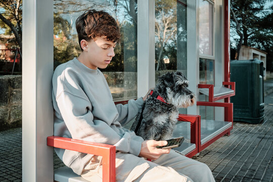 Teenager waiting with miniature schnauzer at bus stop