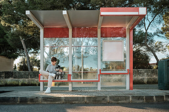 Boy and dog waiting at bus stop outdoors