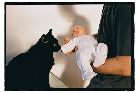 Curious cat meets a baby in a cozy home setting