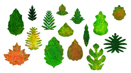 Hand-drawn collection of various leaf shapes and silhouettes with vibrant natural textures and...
