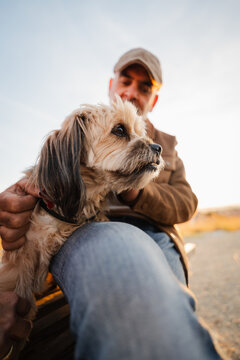 The dog rests on the owner's lap