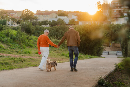An older couple walks their dog at sunset