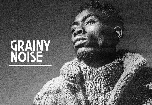 Grainy Monochrome Noise Photo Effect
