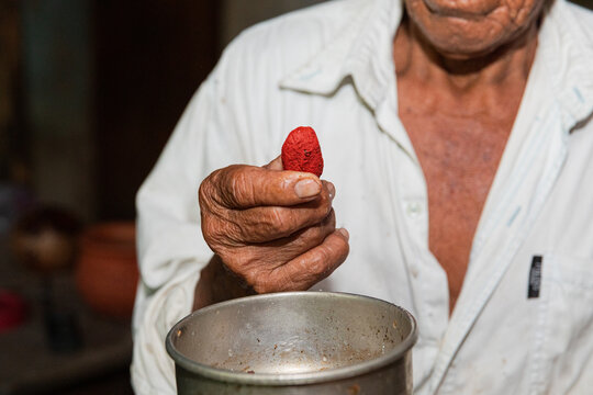 Elderly man holding a piece of red achiote