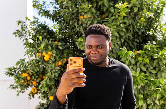 Young Man Checks His Phone Among Orange Trees in a Sunny Garden