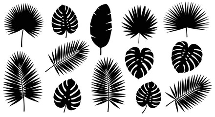 Tropical Leaf Silhouettes: Assorted Exotic Plant Shapes for Design