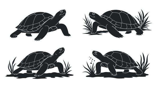 Set of four black silhouette illustrations of tortoises walking and eating in grass