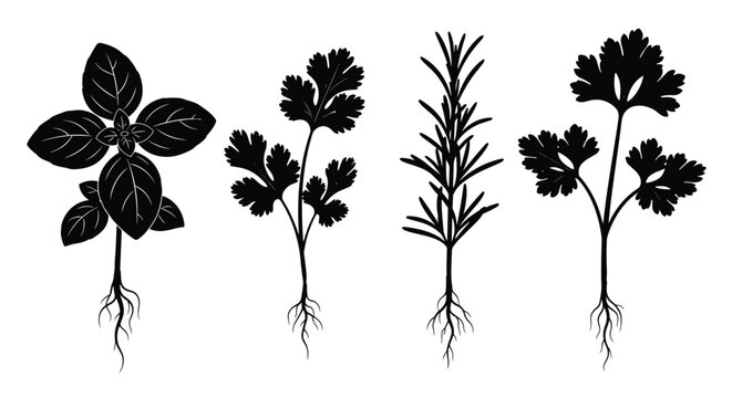 Collection of black silhouette herbs with roots, isolated on white background