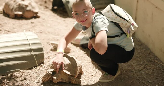 This is a shot of a young girl petting a sulcata tortoise
