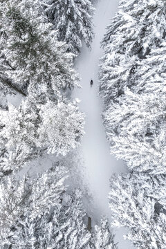 Winter Cycling, aereal view