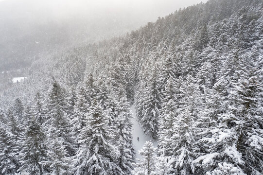 Winter Cycling, aereal view