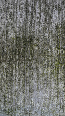 Fototapeta premium Abstract concrete wall texture background with rough cement surface pattern, gray industrial backdrop for design and construction concept