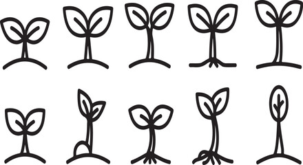 A series of black and white illustrations depicting the growth stages of a plant. Vector © mahafuza