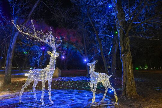 deer in the forest during chinese new year in chengde mountainnresort