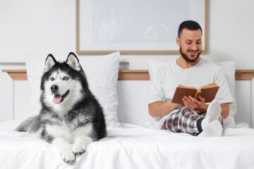 Handsome young man lying on bed and reading book with cute husky dog in bedroom © Pixel-Shot