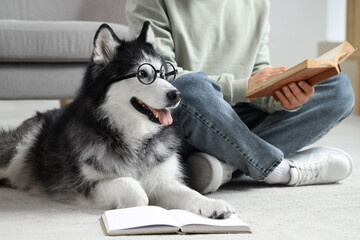 Young man sitting on floor and reading book with funny husky dog in eyeglasses at home © Pixel-Shot