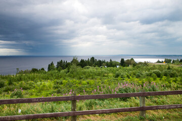 landscape with fence