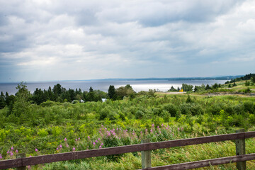 Fototapeta premium landscape with fence