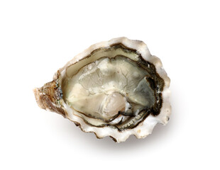 Delicious fresh oyster on white background