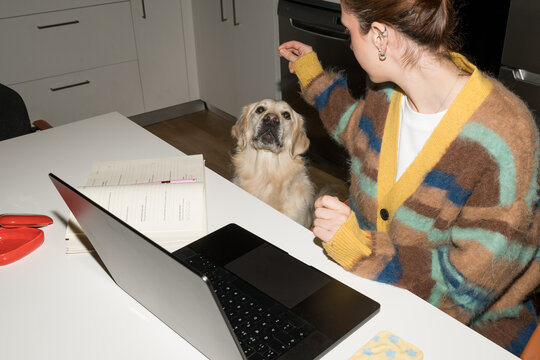 Woman interacts with dog while working at home office
