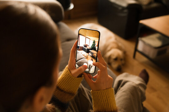 Person takes a picture of living room with dog and furniture
