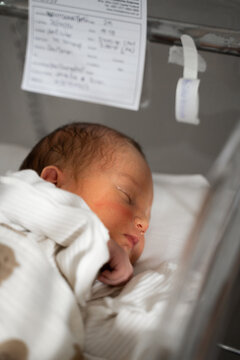 Newborn baby sleeping in hospital bassinet close up