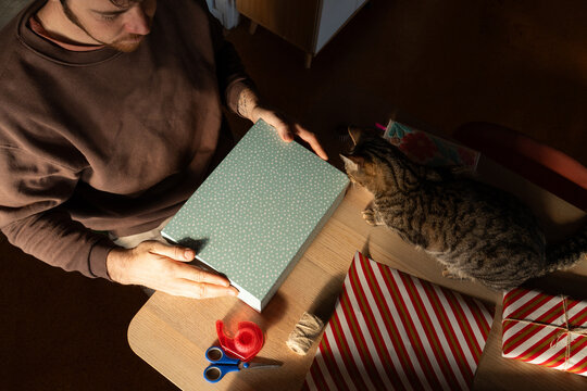 Wrapping Gifts With a Cat in a Cozy Indoor Setting
