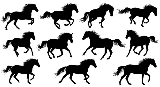 Collection of horse silhouettes in various running positions on a plain background, showcasing dynamic movement and fluid motion