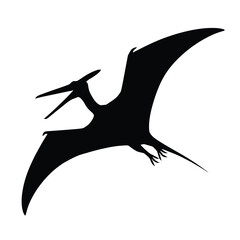 Silhouette of a pterodactyl in flight wings fully extended