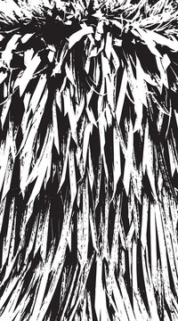 13-75. Thatch roof surface texture vector image made from palm leaves - illustration.