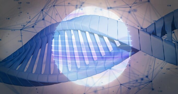 Blue double helix ribbon rotating and sliding after orb rising, revealing rungs and showing data