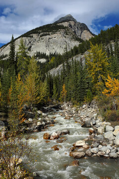 A serene autumn vista in Banff National Park in Alberta, Canada.