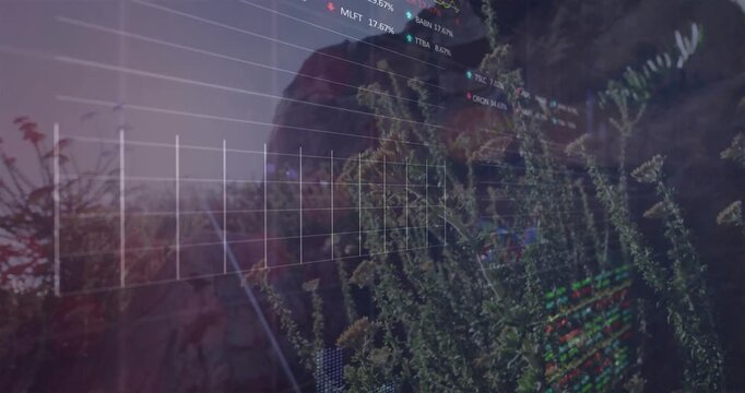 Sunlit canyon showing tall shrubs, sunlight initiating overlay and animating charts for analytics