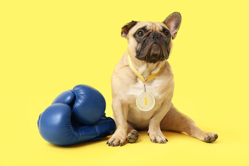 Cute French bulldog with boxing gloves on yellow background
