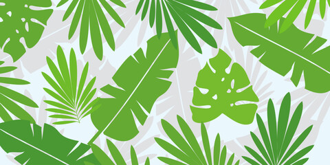 Leaves background with summer fun design concept, abstract illustration with exotic jungle leaves, colorful design, summer background, tropical leaves.Tropical leaf background, palm leaves, monstera © Annas