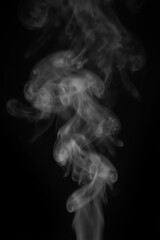 A swirling ethereal cloud of white smoke against a stark black background