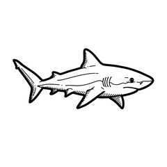 Obraz premium Black and White Shark Illustration.