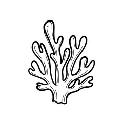 Obraz premium Black and White Coral Illustration.