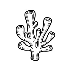 Fototapeta premium Coral Illustration Simple Black White.