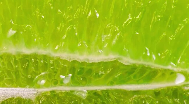 Extreme macro close up of fresh lime slice texture, showing juicy green pulp, citrus fibers, and vibrant natural detail, fruit video.