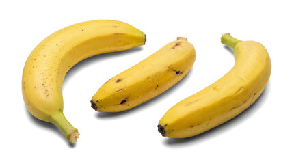 three yellow bananas with small brown spots, isolated on a transparent background, perfect for digital design and applications.