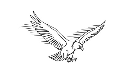 Obraz premium Eagle in Flight, Majestic Bird of Prey with Wings Spread Wide, Dynamic Line Art Illustration
