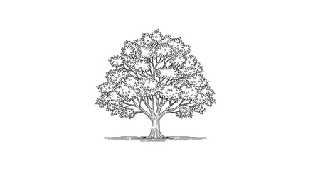 Obraz premium Detailed Black and White Illustration of a Lush Deciduous Tree with Dense Foliage and Shadow