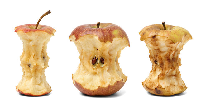 three apple cores, one showing seeds, on a transparent background, symbolizing waste and unfinished food.
