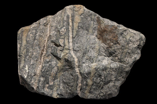 Skarn Rock, Jurassic, Contact Metamorphic Structure and Mineral Assemblage