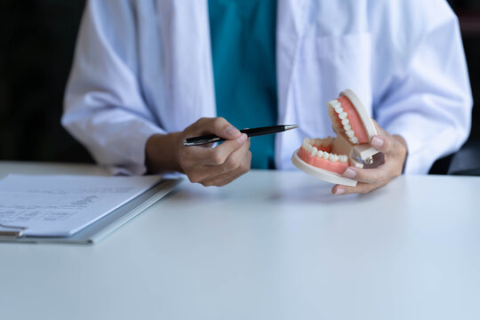 Dentist holding teeth model and describe about it to patient