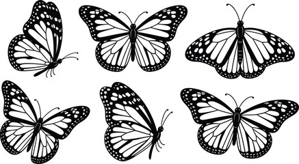 Butterfly silhouette set detailed wings black and white insect collection isolated on white vector illustration © Amena