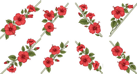 Red hibiscus flower decorative vector illustration set, tropical floral design elements collection, botanical ornament isolated on white background © Asha Creatives